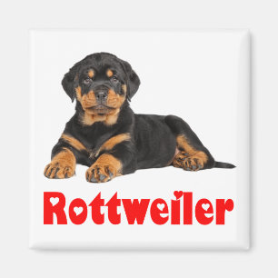 Íman Love Rottweiler Brown & Black Puppy Dog Cartoon