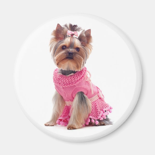 Íman Love Yorkshire Terrier Puppy Dog Magnet (Frente)