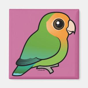 Íman Lovebird Pêssego-enfrentado Alaranjado-enfrentado