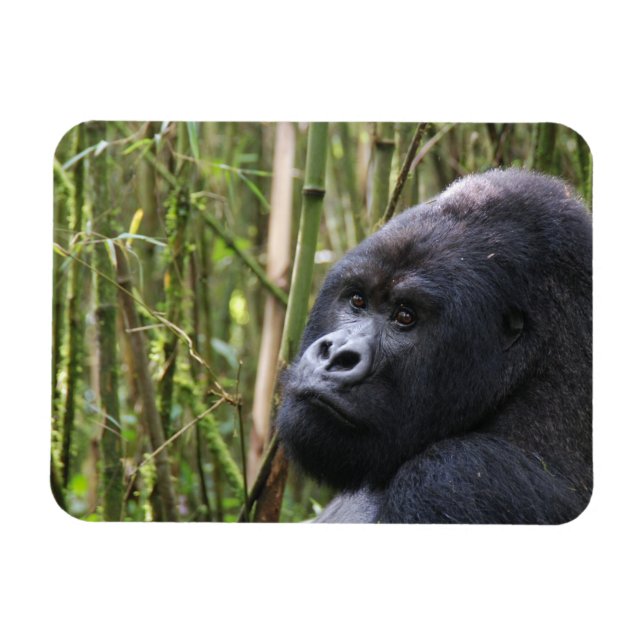 Íman Lowland Gorilla Flexible Magnet (Horizontal)