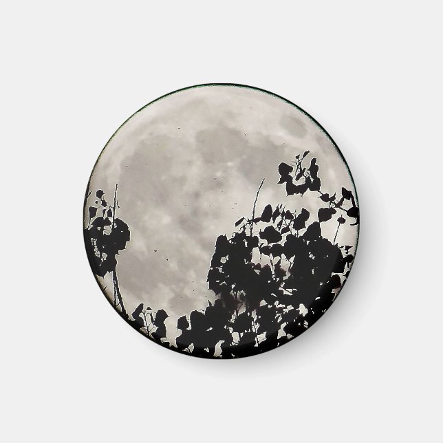 Íman Lua atrás das folhas escuras (Frente)