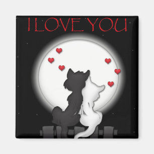 Íman Lua do amor