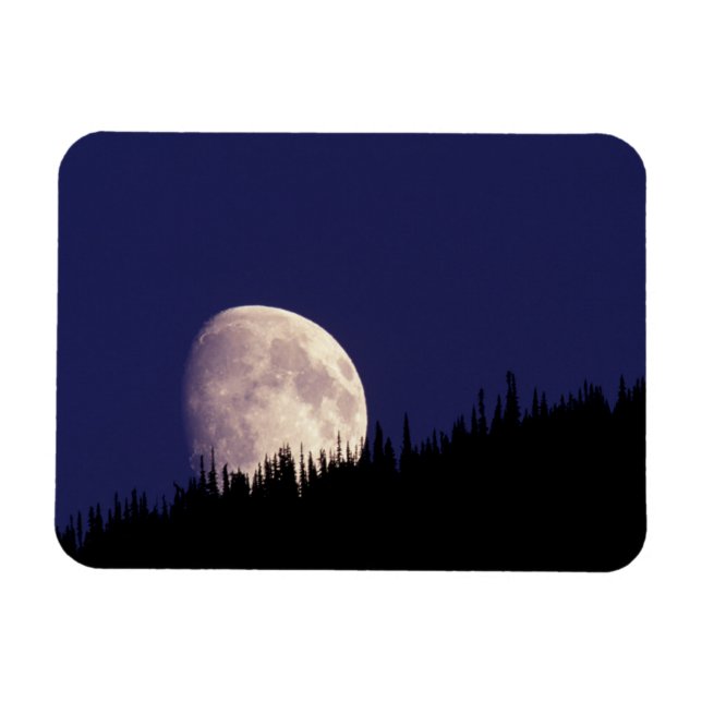 Íman Lua & Floresta | Parque Nacional Glacier Montana (Horizontal)