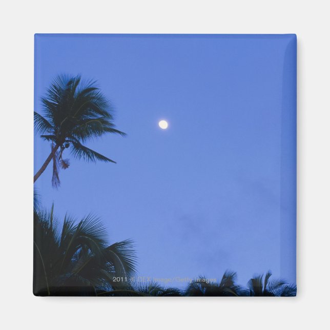 Íman Lua iluminada, silhueta de coqueiros (Frente)