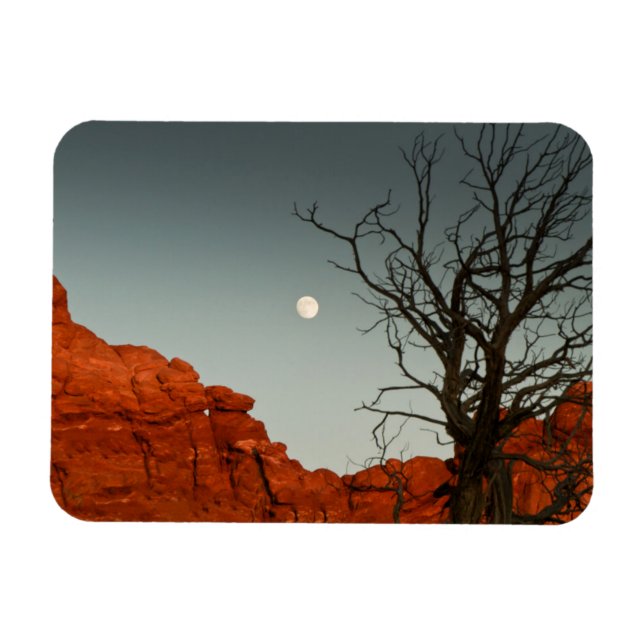 Íman Lua Wicked (Horizontal)