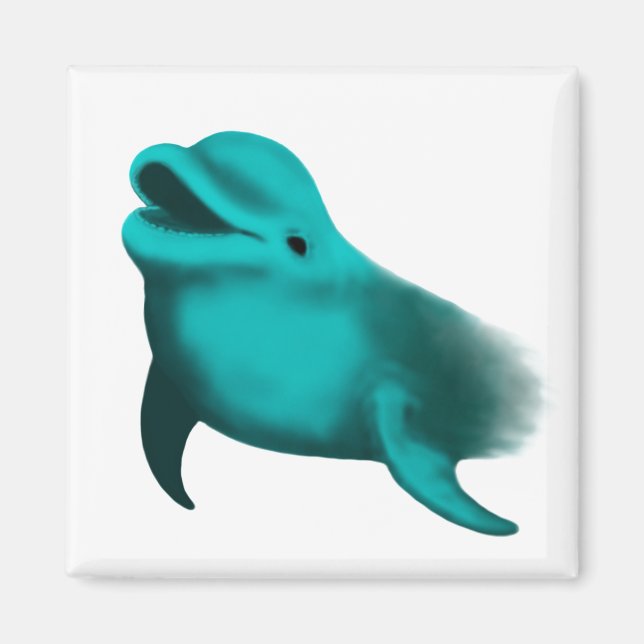 Íman Lucky Dolphin (Frente)