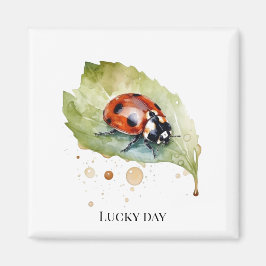 Íman Lucky Ladybug na Folha