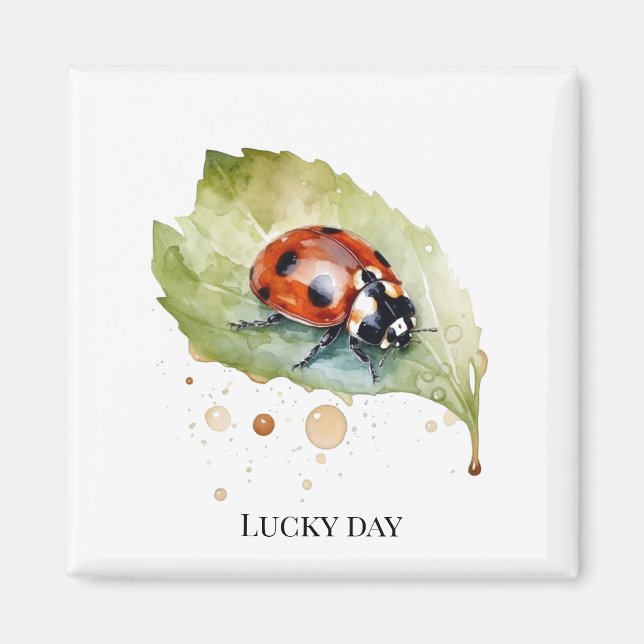 Íman Lucky Ladybug na Folha (Frente)