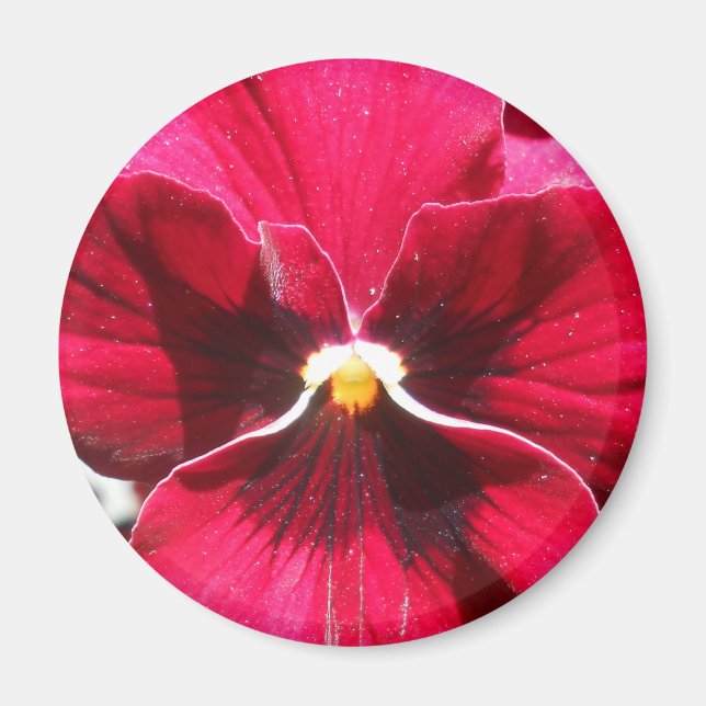 Íman Lucrezia (Frente)