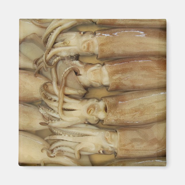 Íman Lula - Calamari (Frente)