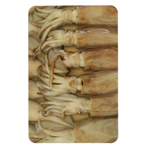 Íman Lula - Calamari