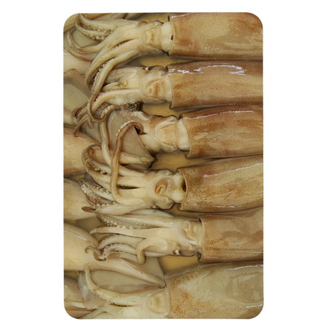 Íman Lula - Calamari (Vertical)