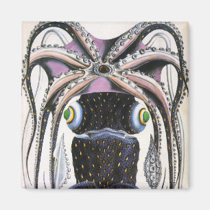 Íman Lula ou polvo gigante da Vintage, animal da marinh