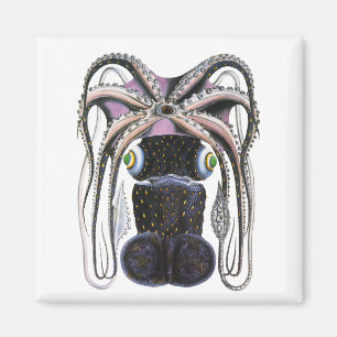 Íman Lula ou polvo gigante da Vintage, animal da marinh