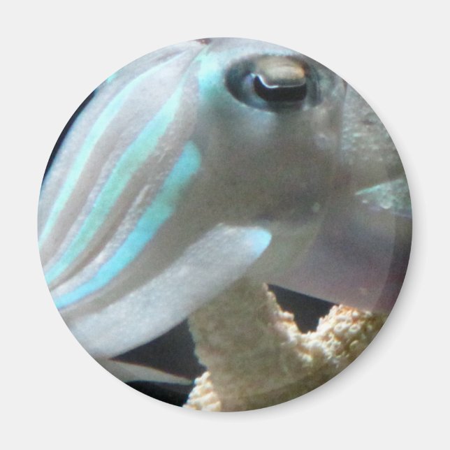 Íman Luminoso (Frente)