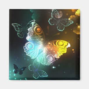 Íman Luminous Butterfly and Night butterflies