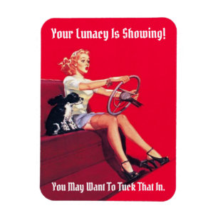 Íman Lunacy Vintage Pin-Up Magnet