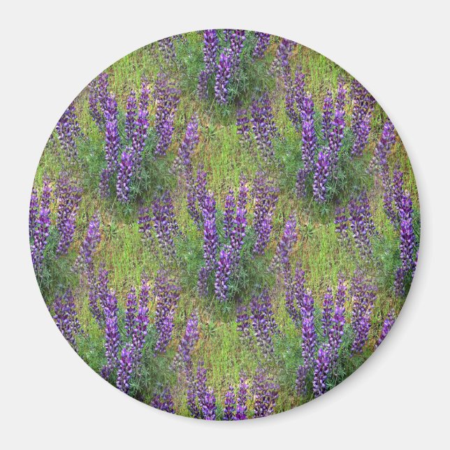 Íman Lupines Galore. (Frente)