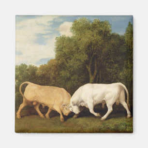 Íman Luta de touros de George Stubbs , 1786 (óleo no