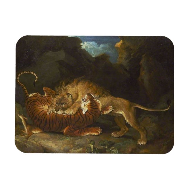 Íman Lutar entre um Leão e um Tigre (Horizontal)