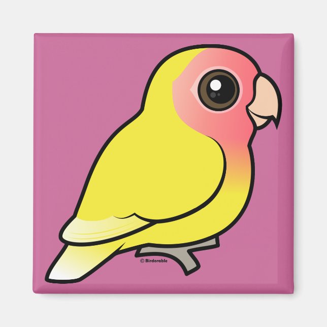 Íman Lutino Peach Face Lovebird (Frente)
