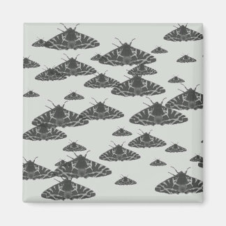 Íman Luz à noite espreitando à meia-noite