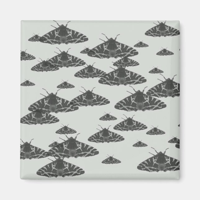 Íman Luz à noite espreitando à meia-noite (Frente)