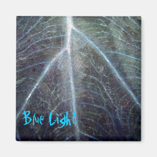 Íman Luz azul