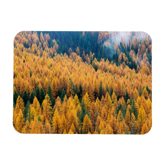 Íman Luz da manhã na praia | Ilha Tybee (Horizontal)