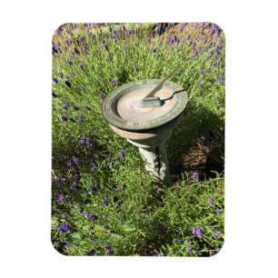 Íman Luz de sol na Lavanda