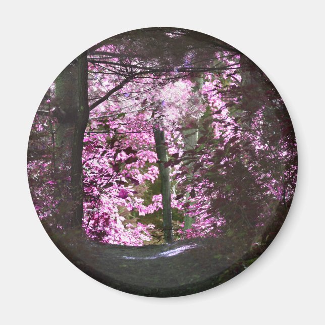 Íman Luz no ímã da natureza do trajeto (Frente)