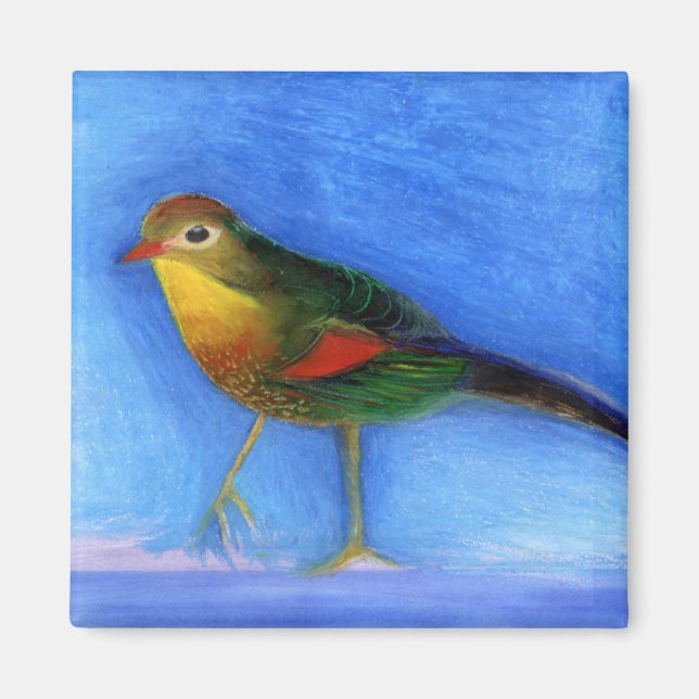 Íman Luz Noturna 2012 (Frente)