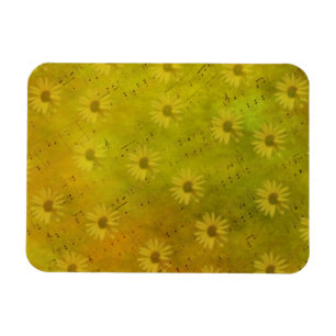 Íman Luz Solar Mídia Mista
