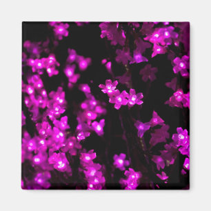 Íman Luzes cor-de-rosa de incandescência da flor