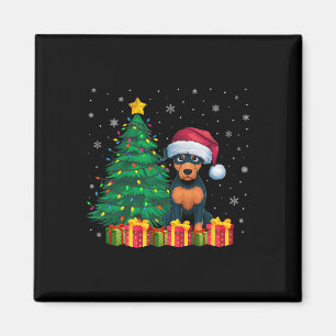 Íman Luzes de Natal de Pinscher Santa Hat, Miniatura Fe