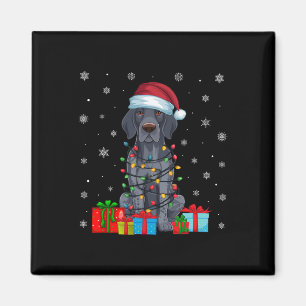 Íman Luzes de Natal Papais noeis Cachorro de Ponteiro C