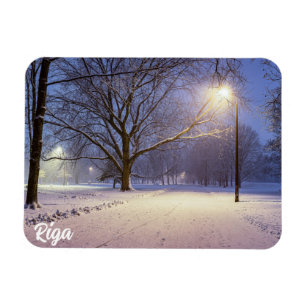 Íman Luzes de rua e cobertas de neve