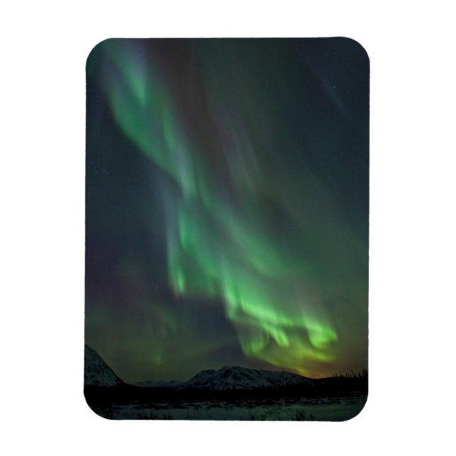 Íman Luzes do Norte | Whitehorse, Yukon (Vertical)