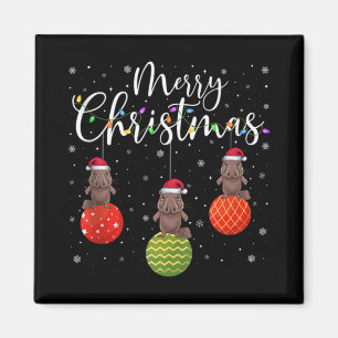 Íman Luzes Feliz Natal Chapéu do Papai Noel Ornitorrinc