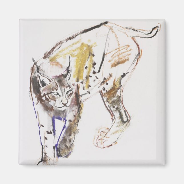 Íman Lynx Europeu (Frente)