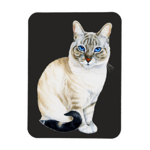 Íman Lynx Point Siamese Cat