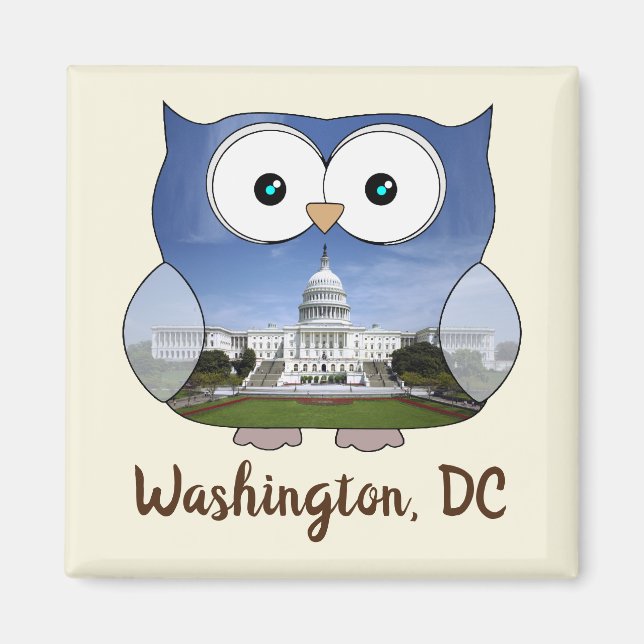 Íman M190132 Chubby Owl | Washington DC i Souvenir (Frente)