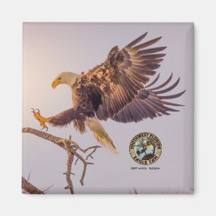 Íman M SWFL Eagle Cam Magnets 2021