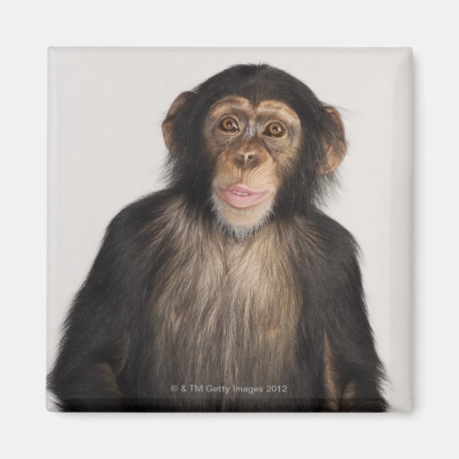 Íman Macaco (Frente)