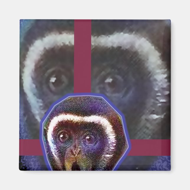 Íman Macaco assustado (Frente)