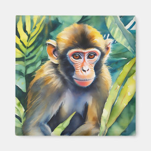Íman Macaco-Cria