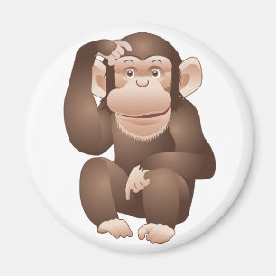 Íman Macaco curioso