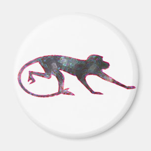 Íman Macaco de cor