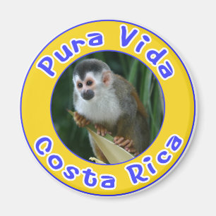 Íman Macaco de esquilo, Pura Vida, Costa Rica