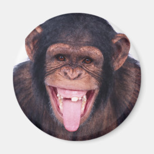 Íman Macaco de riso